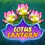 Lotus Lantern